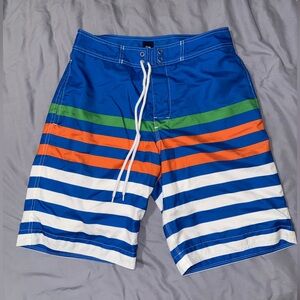 GAP Men's Blue Multicolor Striped Swim Shorts
